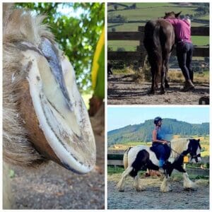 Stage immersion de 5 jours