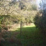 instal labyrinthe ajoncs