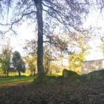 instal paddock+cabane
