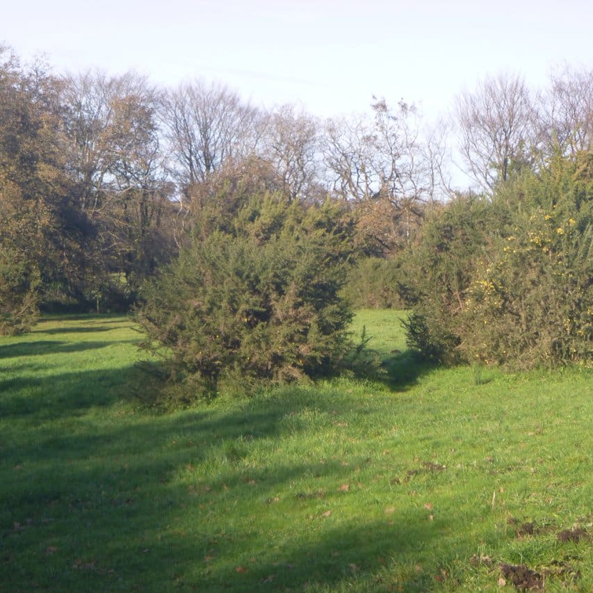 instal pré buissons