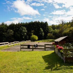 Stage pro ferme du Rousset