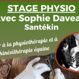 Formation chez Charlotte Pantos